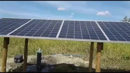Solar Powered Borehole or Deep Well Irrigation Water Pump for Agriculture 