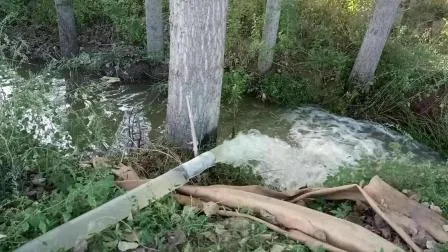 Deep Well Pump, Irrigation Solar Pump, Solar Powered Water Pump with Controller 