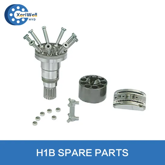H1b060 H1b080 H1b110 H1b 060/080/110 Hydraulic Motor Parts 